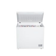 GUZZANTI GZ 220A - 1