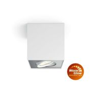 Philips Box 50491/31/P0 1xLED IP20 bílé - 1