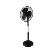 ECG FS 40a RB Black - 1