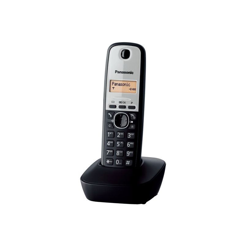 PANASONIC KX-TG1911FXG - 1