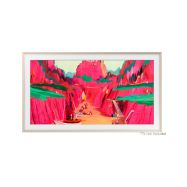 Samsung VG-SCFF65SGMXC - 1