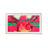 Samsung VG-SCFF65TKBXC - 1