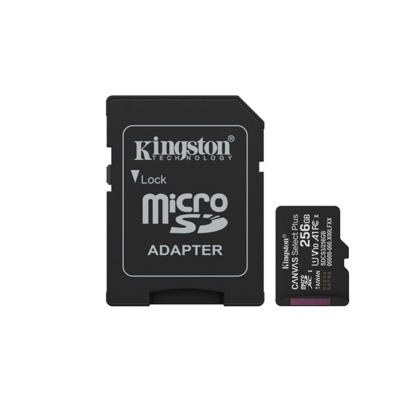Kingston Canvas Select Plus/Micro 256GB - 1
