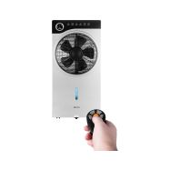 ECG Mr. Fan - 12