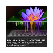 Haier H65M90EUX QD Mini LED televizor 65" Google - 19