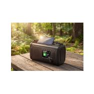 Sencor SRD 1090SCLD B - nouzové rádio DAB+/FM,LED svítilna,power banka - 12