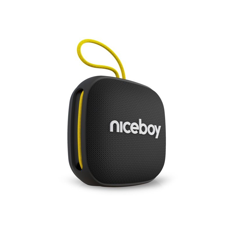 Niceboy RAZE Mini 4 - 1